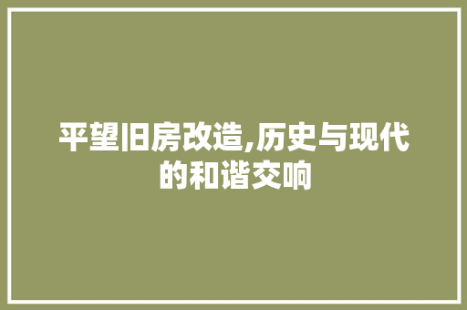 平望旧房改造,历史与现代的和谐交响 地面装修