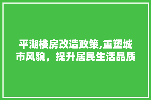 平湖楼房改造政策,重塑城市风貌，提升居民生活品质