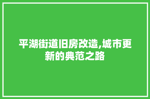 平湖街道旧房改造,城市更新的典范之路
