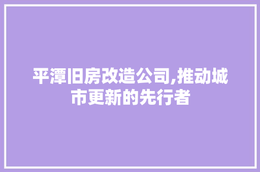 平潭旧房改造公司,推动城市更新的先行者