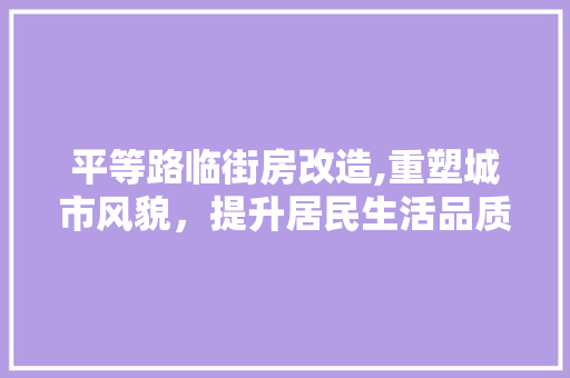 平等路临街房改造,重塑城市风貌，提升居民生活品质