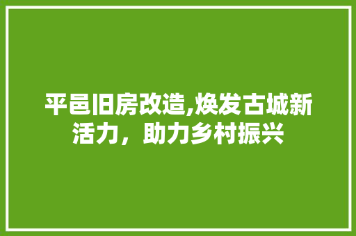 平邑旧房改造,焕发古城新活力，助力乡村振兴 庭院装修