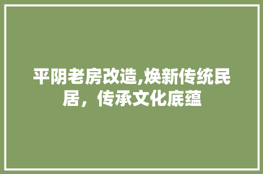 平阴老房改造,焕新传统民居，传承文化底蕴