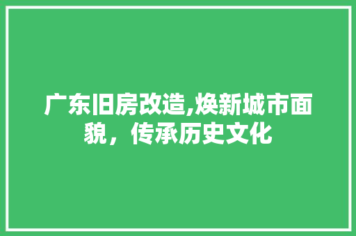 广东旧房改造,焕新城市面貌，传承历史文化