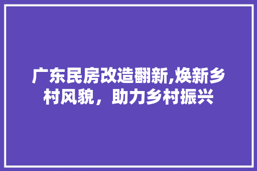 广东民房改造翻新,焕新乡村风貌，助力乡村振兴