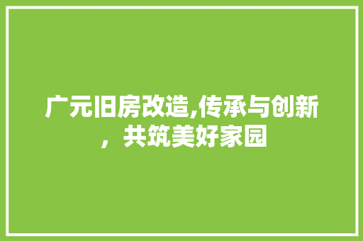 广元旧房改造,传承与创新，共筑美好家园