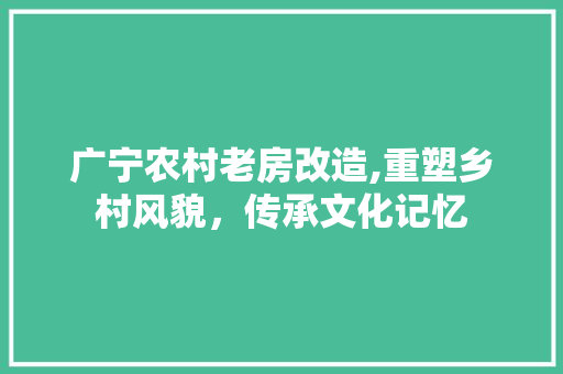 广宁农村老房改造,重塑乡村风貌，传承文化记忆