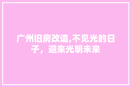 广州旧房改造,不见光的日子，迎来光明未来