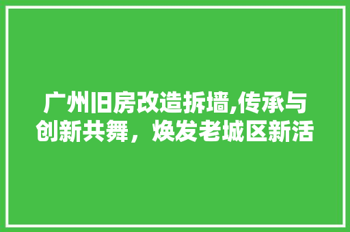 广州旧房改造拆墙,传承与创新共舞，焕发老城区新活力 门窗装修