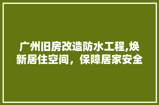 广州旧房改造防水工程,焕新居住空间，保障居家安全 地面装修