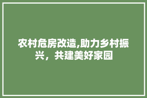 农村危房改造,助力乡村振兴，共建美好家园 墙面装饰