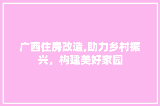 广西住房改造,助力乡村振兴，构建美好家园