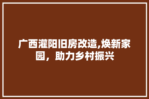 广西灌阳旧房改造,焕新家园，助力乡村振兴