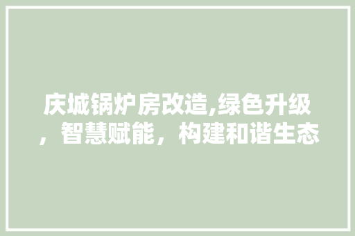 庆城锅炉房改造,绿色升级，智慧赋能，构建和谐生态城市