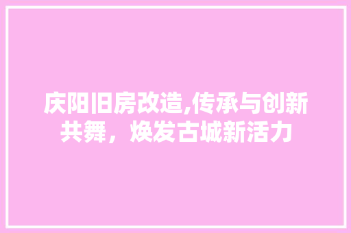 庆阳旧房改造,传承与创新共舞，焕发古城新活力