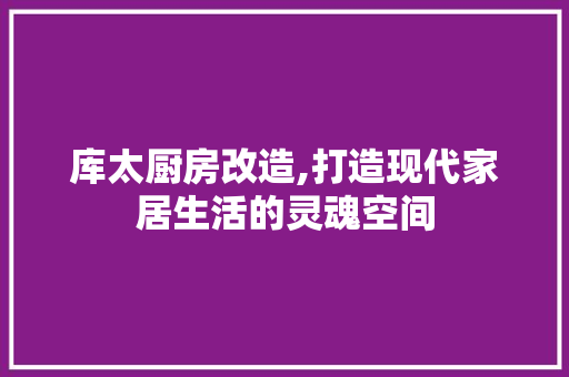 库太厨房改造,打造现代家居生活的灵魂空间 隔断设计
