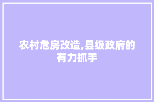 农村危房改造,县级政府的有力抓手