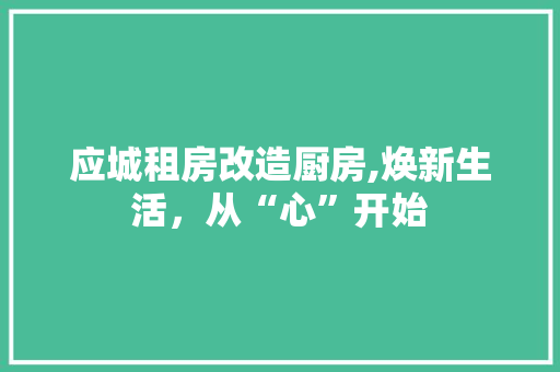 应城租房改造厨房,焕新生活，从“心”开始