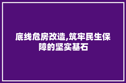 底线危房改造,筑牢民生保障的坚实基石