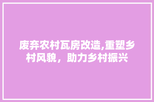 废弃农村瓦房改造,重塑乡村风貌，助力乡村振兴