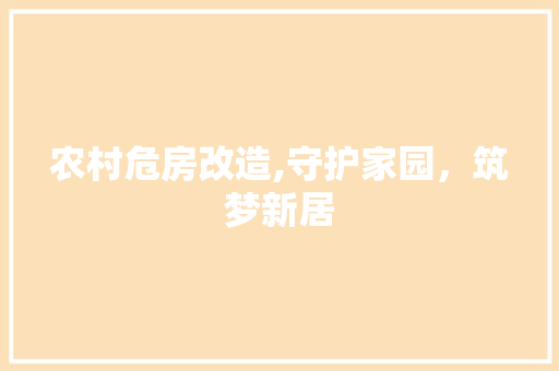 农村危房改造,守护家园，筑梦新居