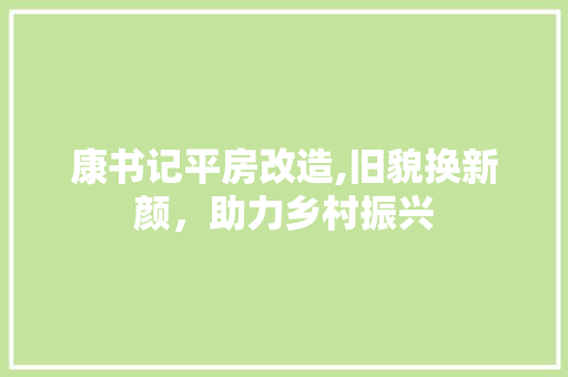 康书记平房改造,旧貌换新颜，助力乡村振兴 地面装修