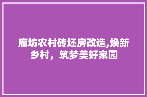 廊坊农村砖坯房改造,焕新乡村，筑梦美好家园