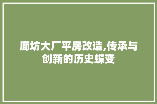 廊坊大厂平房改造,传承与创新的历史蝶变