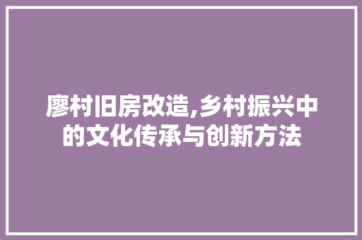 廖村旧房改造,乡村振兴中的文化传承与创新方法
