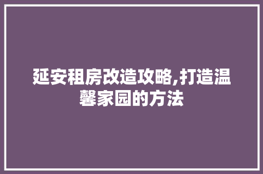 延安租房改造攻略,打造温馨家园的方法
