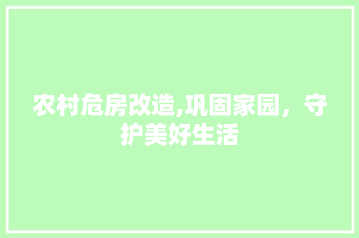 农村危房改造,巩固家园，守护美好生活