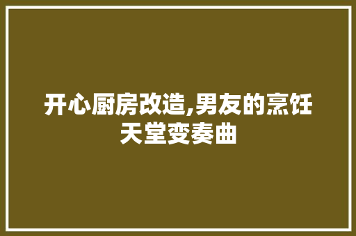 开心厨房改造,男友的烹饪天堂变奏曲