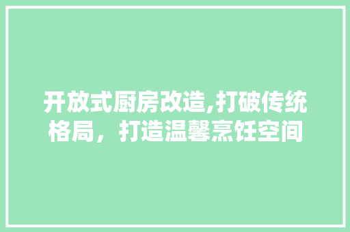开放式厨房改造,打破传统格局，打造温馨烹饪空间