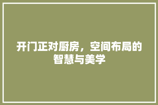 开门正对厨房，空间布局的智慧与美学
