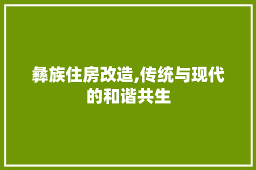 彝族住房改造,传统与现代的和谐共生