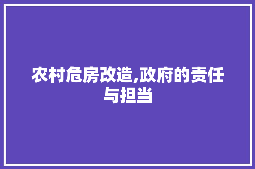 农村危房改造,政府的责任与担当
