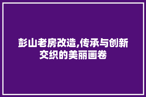 彭山老房改造,传承与创新交织的美丽画卷