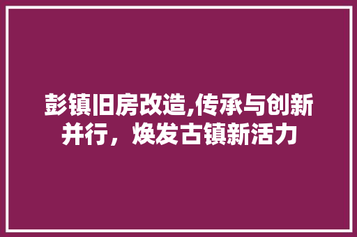 彭镇旧房改造,传承与创新并行，焕发古镇新活力 景观设计