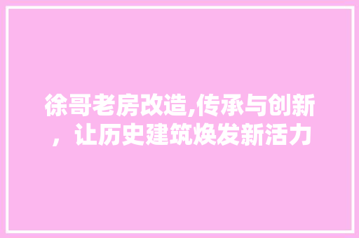 徐哥老房改造,传承与创新，让历史建筑焕发新活力 景观设计