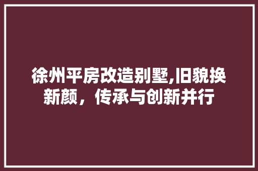 徐州平房改造别墅,旧貌换新颜，传承与创新并行 建筑设计
