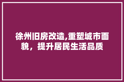 徐州旧房改造,重塑城市面貌，提升居民生活品质