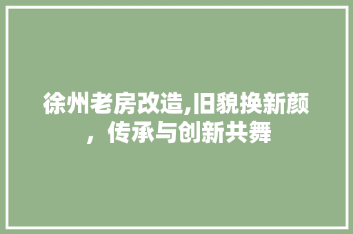 徐州老房改造,旧貌换新颜，传承与创新共舞 隔断设计