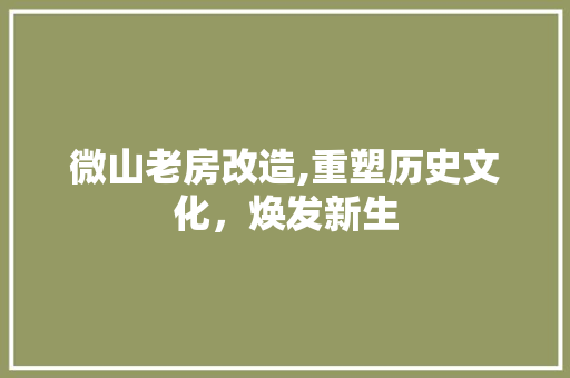 微山老房改造,重塑历史文化，焕发新生