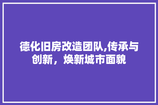 德化旧房改造团队,传承与创新，焕新城市面貌