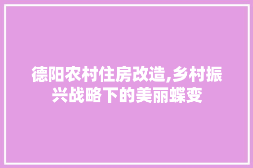 德阳农村住房改造,乡村振兴战略下的美丽蝶变 装修材料