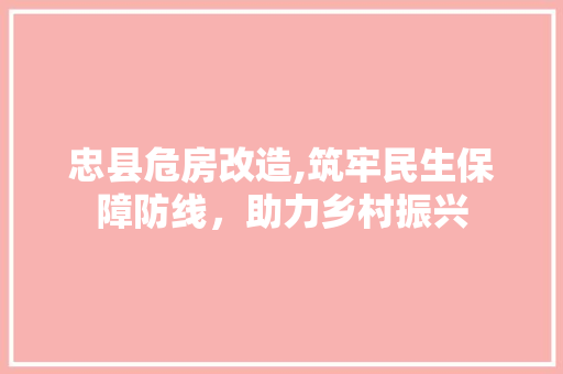 忠县危房改造,筑牢民生保障防线，助力乡村振兴