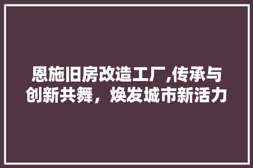 恩施旧房改造工厂,传承与创新共舞，焕发城市新活力