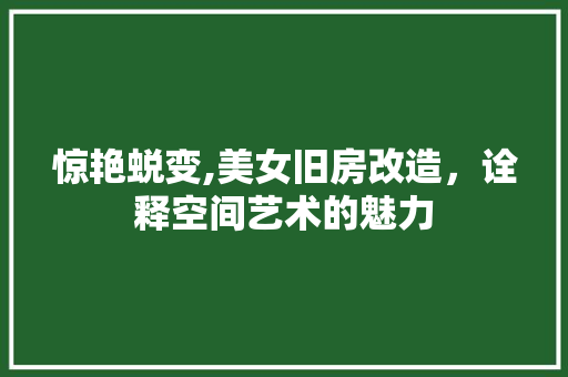 惊艳蜕变,美女旧房改造，诠释空间艺术的魅力