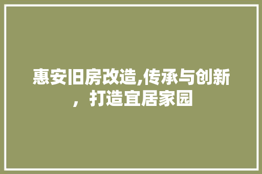 惠安旧房改造,传承与创新，打造宜居家园