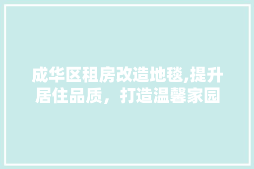成华区租房改造地毯,提升居住品质，打造温馨家园